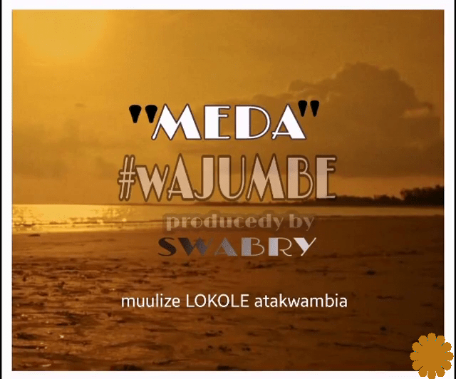 Meda Wajumbe artwork 1