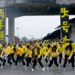 innossB olandi thumb