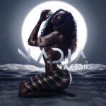 Nadia nakai practice artcover