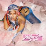 Steflon Don move artcover