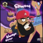 Slowdog Nwayo Nwayo artwork