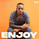 Tekno Enjoy Artwork