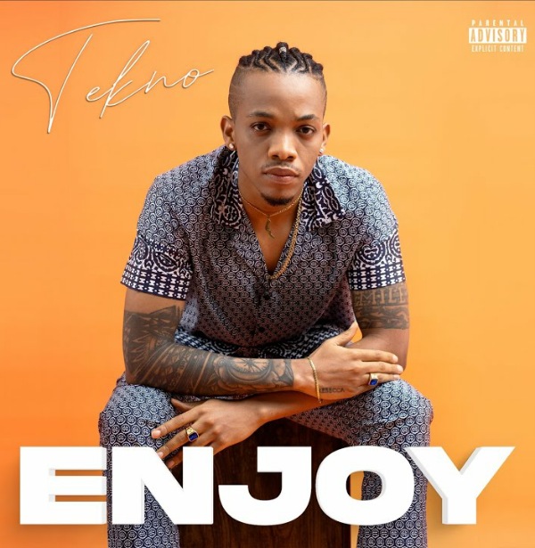 Tekno Enjoy Artwork