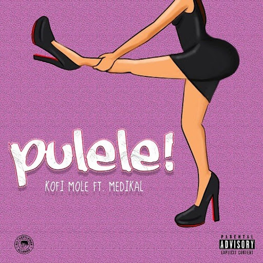 Kofi Mole ft Medikal – Pulele