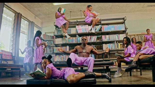 Harmonize Ushamba Video