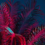 Souloho Labelungu Ft Sir Trill Mr JazziQ Busta 929