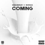 Instrumental Naira Marley – Coming