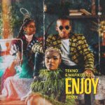 Tekno Enjoy Remix