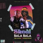 Tobyshang x Sunkkeysnoop — Shedi Bala Bala