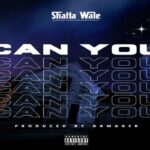 shatta wale – can you