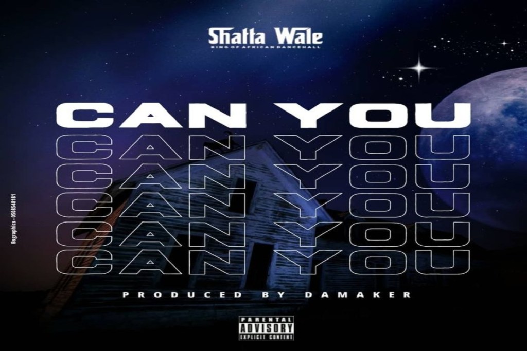 shatta wale – can you