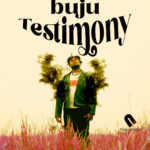 buju testimony official artwork najahotstars
