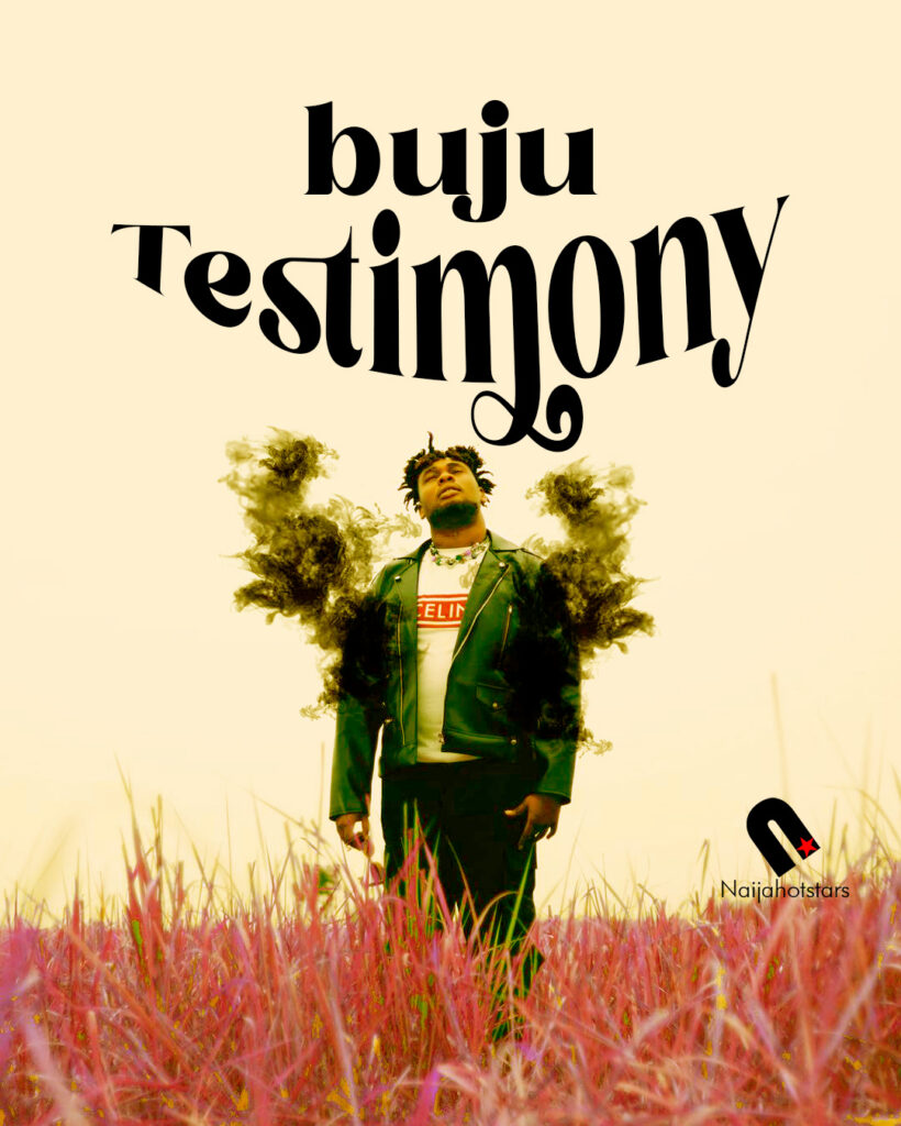 buju testimony official artwork najahotstars