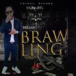 teejay brawling sureloaded.com