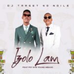 DJ Target No Ndile Izolo Lami Artwork