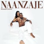 Diamond Platnumz Naanzaje