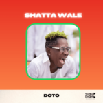 Shatta Wale Doto cover art 1