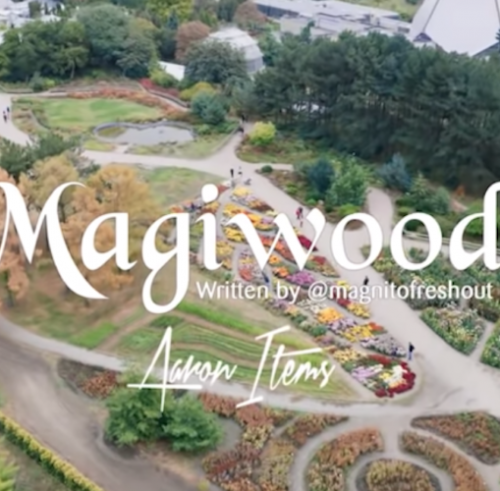 magnito – magiwood ft bovi