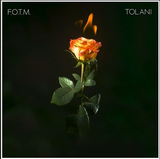 Tolani