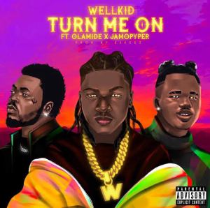 Wellkid Turn Me On ft. Olamide Jamopyper
