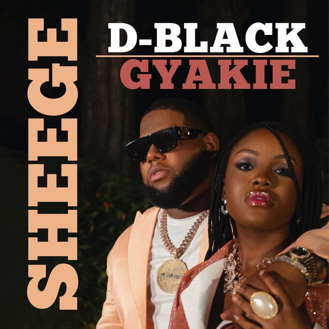 D-Black ft Gyakie – Sheege D Black Sheege Artwork