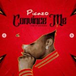 Picazo – Convince Me