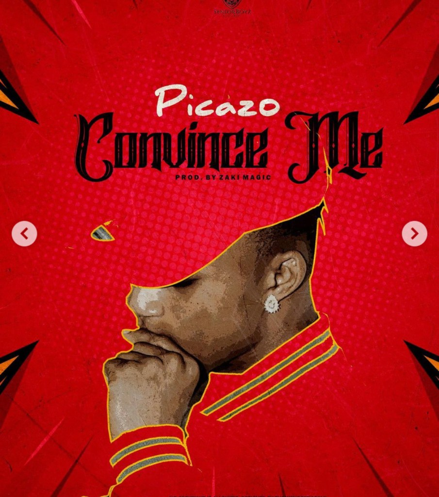 Picazo – Convince Me