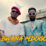 Alikiba Bwana Mdogo Video