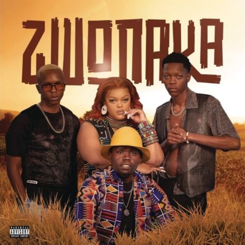 Mellow Sleazy DBN Gogo Dinho – Zwonaka