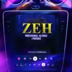 Professional Zazu Zeh Beat Ft DJ Trace Portable