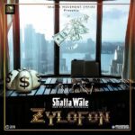 Shatta Wale Zylofon Music Artwork