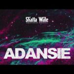 shatta wale adansi3 testimony