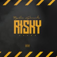 Bella Shmurda Risky Cover