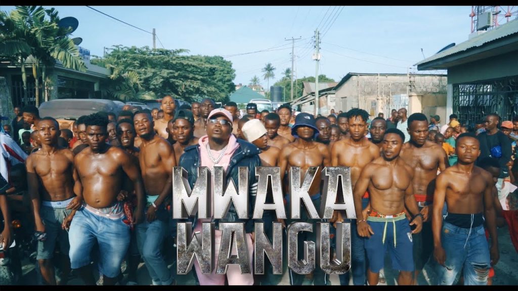Harmonize – Mwaka Wangu Video