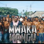 Harmonize – Mwaka Wangu Video