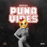 Puna Vibes artwork