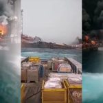 inCollage 20220203 141655310