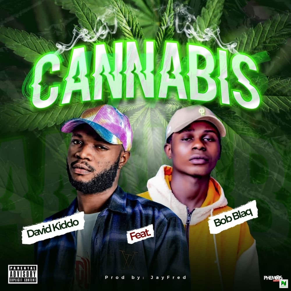David Kiddo – Cannabis Ft. Bob Blaq Cannabis by David Kiddo Ft. Bob Blaq trendyhiphop.com