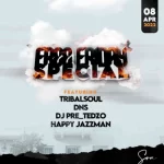 DnS Tribal Soul ft Lee Nathi Seemore Chief Hip Hop More