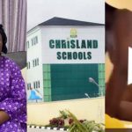 InCollage 20220419 091732823