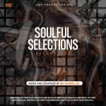 McSkinZz SA Soulful Selections Vol.002 100 Production Mix 1024x1024 Hip Hop More