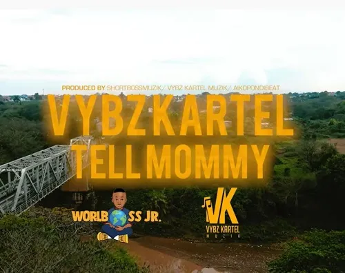 Tell Mommy by Vybz Kartel