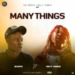 Zhips – Many Thing Ft. Seyi Vibezjpg