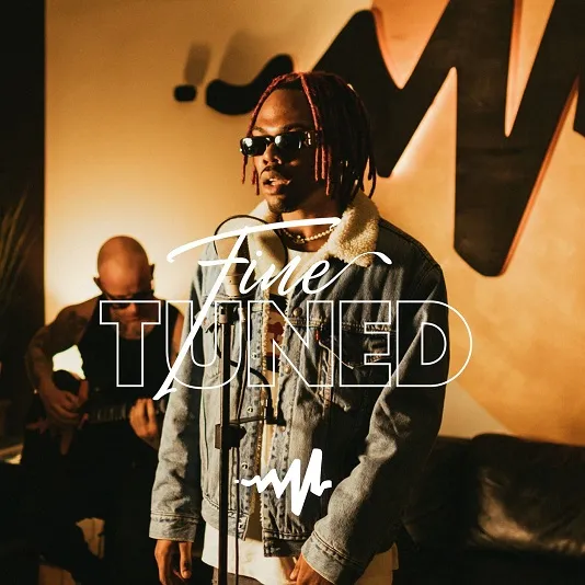 CKay Love Nwantiti Emiliana Fine Tuned Version