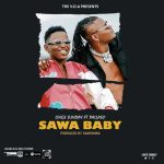 Linex Sunday Feat Pallaso Sawa Baby ARTWORK