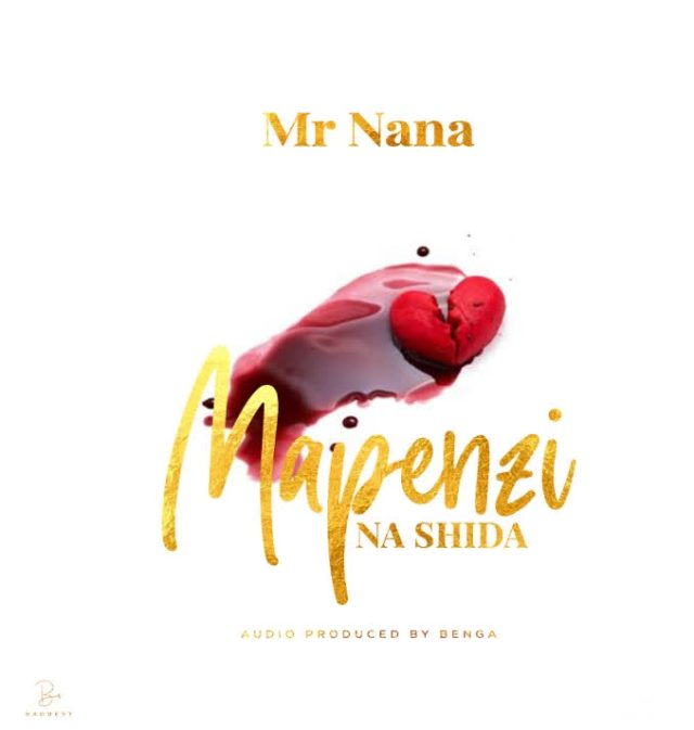 Mr Nana – Mapenzi Na Shida ARTWORK