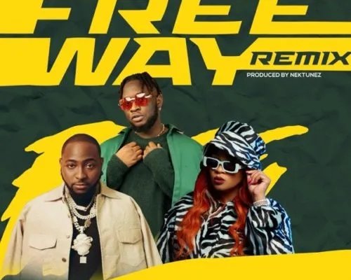 Tripsy Lady Du Davido Nektunez – Freeway Remix ft. DJ Pee Raven