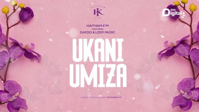 Ukaniumiza Remix Haitham 640x360 1
