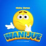 Wanijue AUDIO MMXJKSB 1 640x616 1