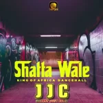 Shatta Wale J J C